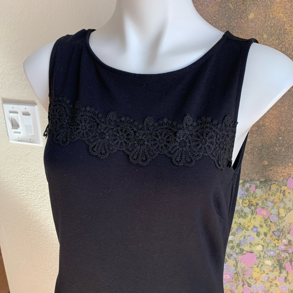 The Limited Beautiful lace detailed dress. - Picture 3 of 7